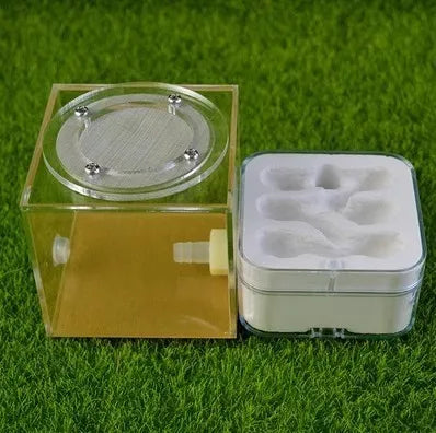 Upgraded Q-version of ecological nest, high-end combination nest, ant breeding workshop, ant nest