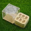 Upgraded Q-version of ecological nest, high-end combination nest, ant breeding workshop, ant nest