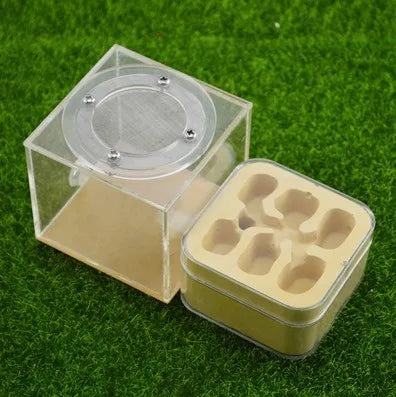 Upgraded Q-version of ecological nest, high-end combination nest, ant breeding workshop, ant nest