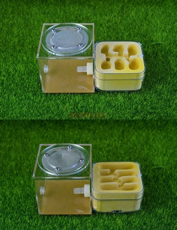 Upgraded Q-version of ecological nest, high-end combination nest, ant breeding workshop, ant nest