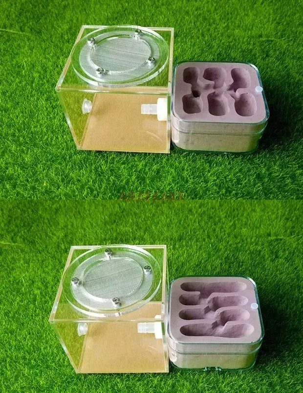 Upgraded Q-version of ecological nest, high-end combination nest, ant breeding workshop, ant nest