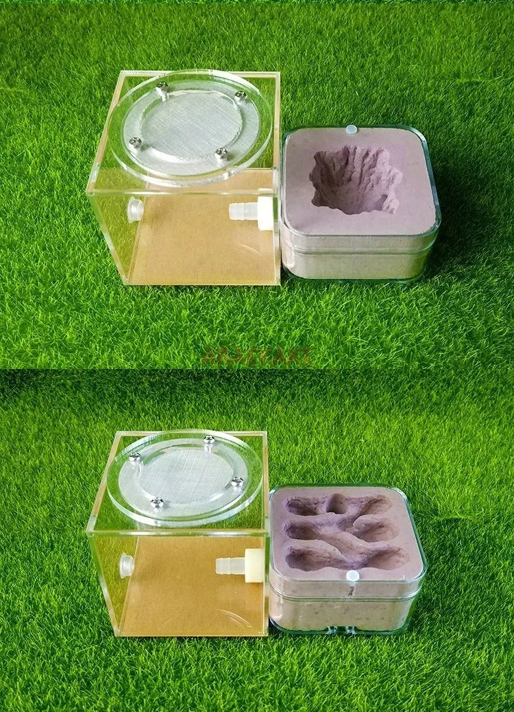 Upgraded Q-version of ecological nest, high-end combination nest, ant breeding workshop, ant nest