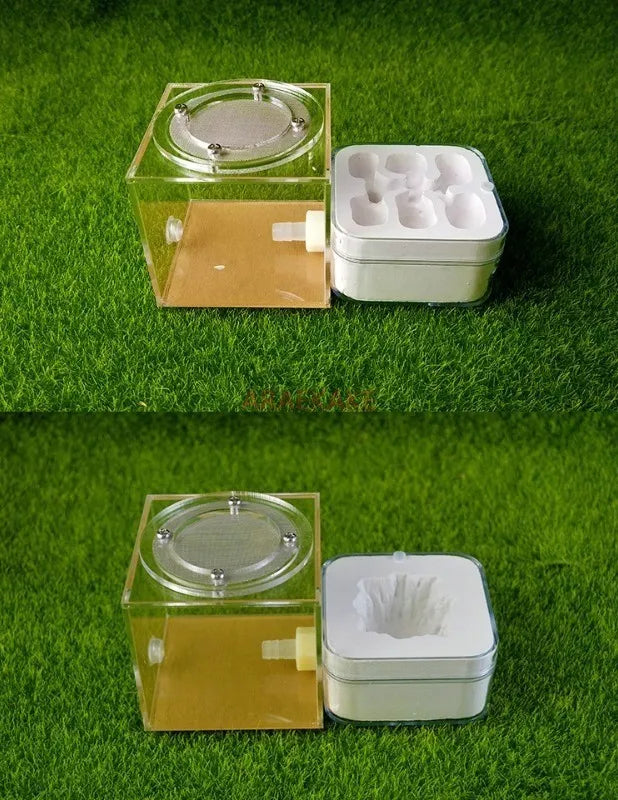 Upgraded Q-version of ecological nest, high-end combination nest, ant breeding workshop, ant nest