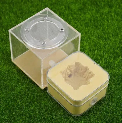 Upgraded Q-version of ecological nest, high-end combination nest, ant breeding workshop, ant nest