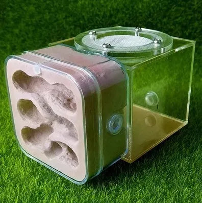 Upgraded Q-version of ecological nest, high-end combination nest, ant breeding workshop, ant nest