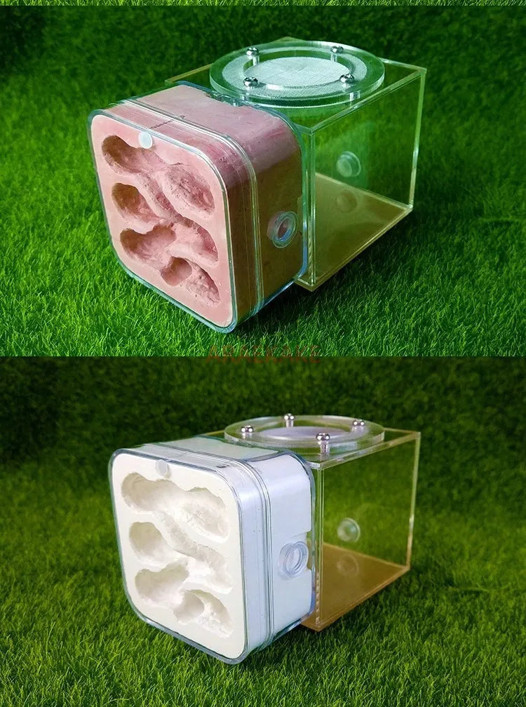 Upgraded Q-version of ecological nest, high-end combination nest, ant breeding workshop, ant nest