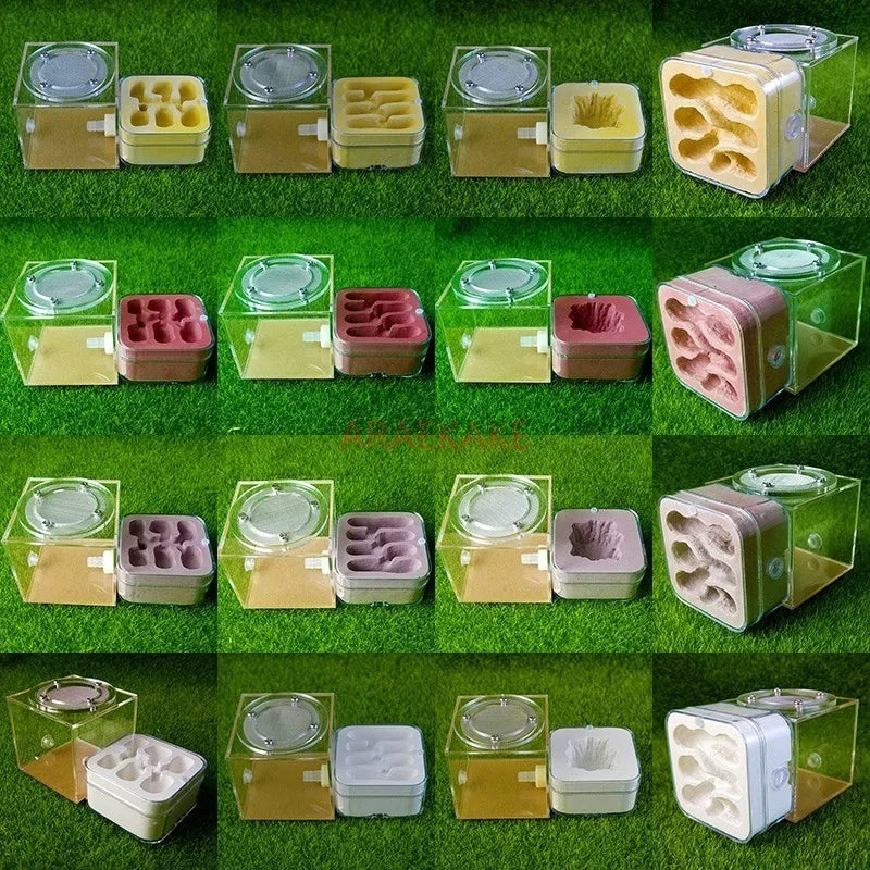 Upgraded Q-version of ecological nest, high-end combination nest, ant breeding workshop, ant nest