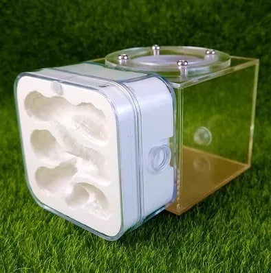 Upgraded Q-version of ecological nest, high-end combination nest, ant breeding workshop, ant nest