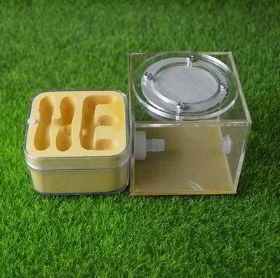 Upgraded Q-version of ecological nest, high-end combination nest, ant breeding workshop, ant nest