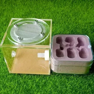Upgraded Q-version of ecological nest, high-end combination nest, ant breeding workshop, ant nest
