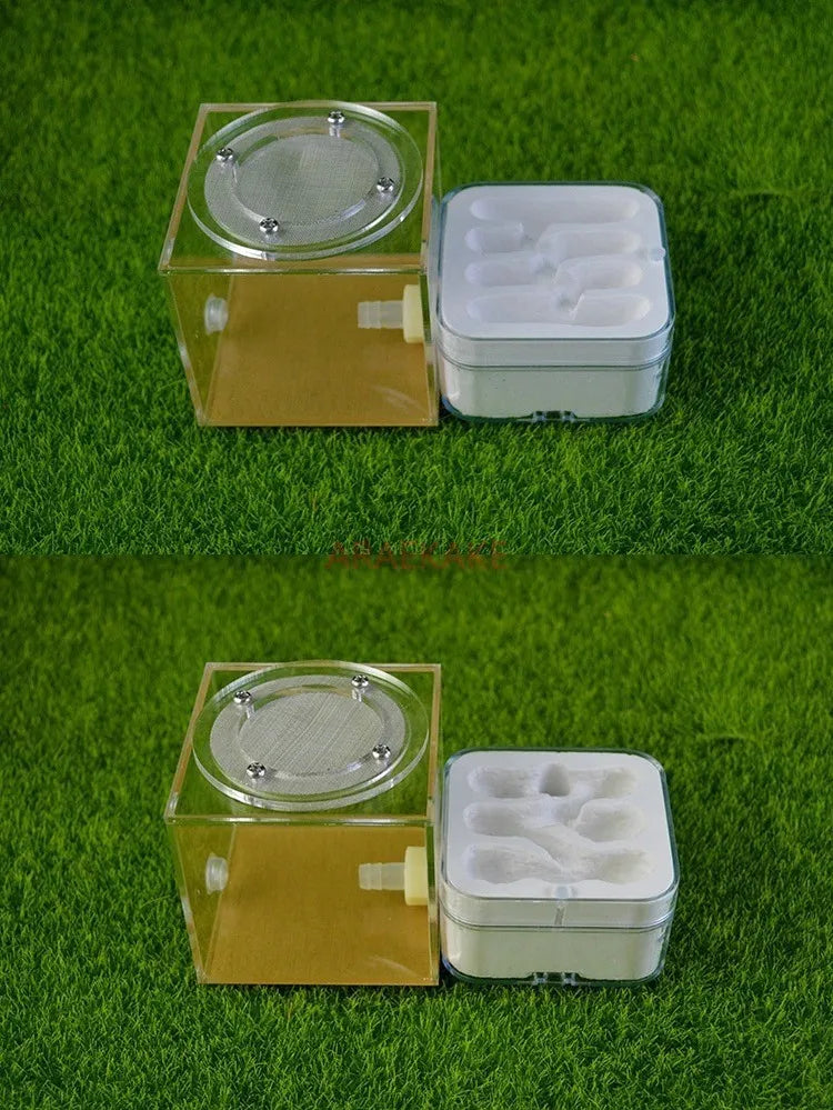 Upgraded Q-version of ecological nest, high-end combination nest, ant breeding workshop, ant nest