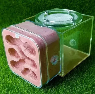 Upgraded Q-version of ecological nest, high-end combination nest, ant breeding workshop, ant nest