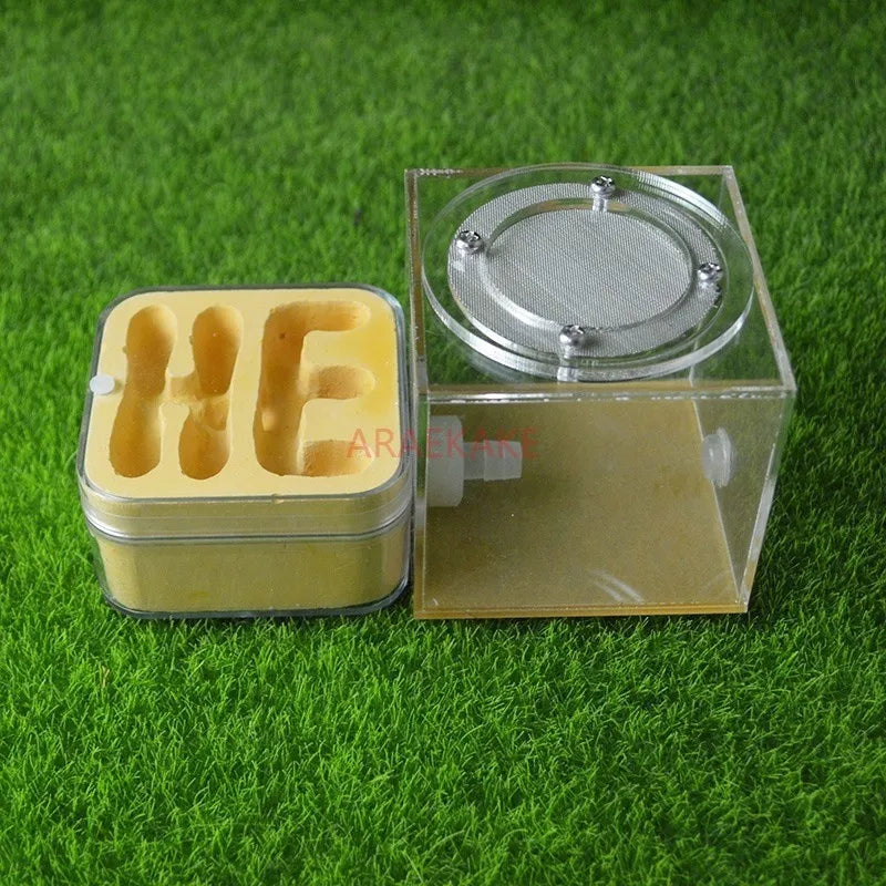 Upgraded Q-version of ecological nest, high-end combination nest, ant breeding workshop, ant nest
