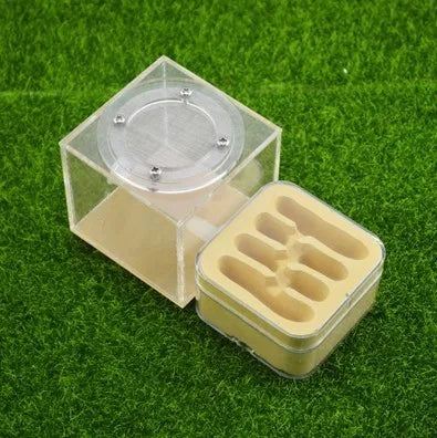 Upgraded Q-version of ecological nest, high-end combination nest, ant breeding workshop, ant nest