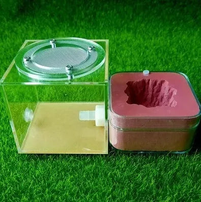 Upgraded Q-version of ecological nest, high-end combination nest, ant breeding workshop, ant nest