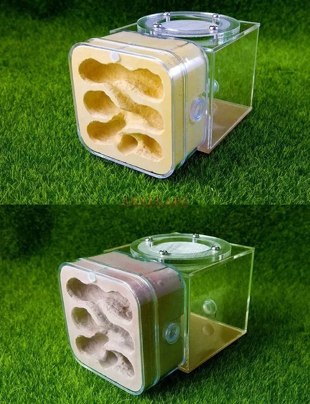 Upgraded Q-version of ecological nest, high-end combination nest, ant breeding workshop, ant nest