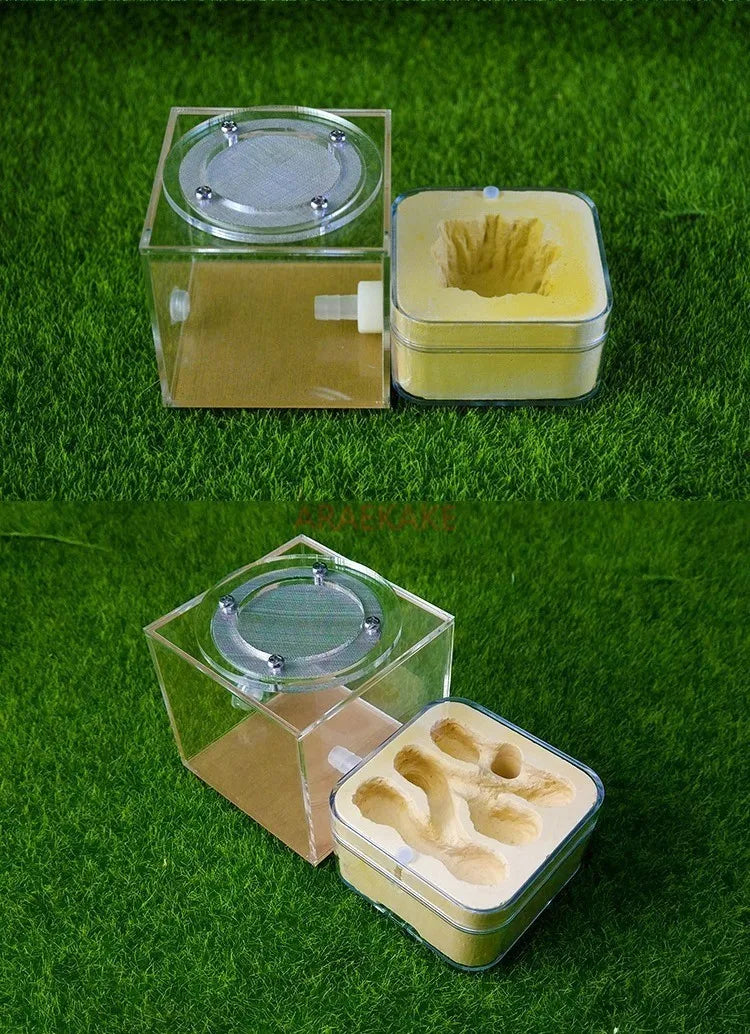 Upgraded Q-version of ecological nest, high-end combination nest, ant breeding workshop, ant nest