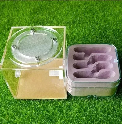 Upgraded Q-version of ecological nest, high-end combination nest, ant breeding workshop, ant nest